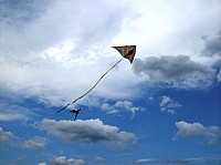 2008 KiteFestival-032.jpg